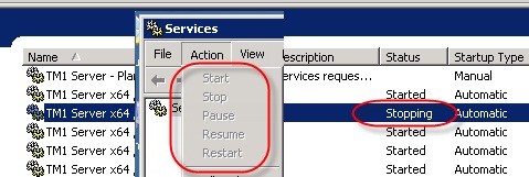 TM1Service.jpg