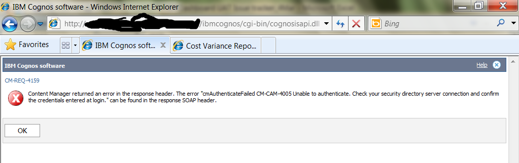 TM1 web error message