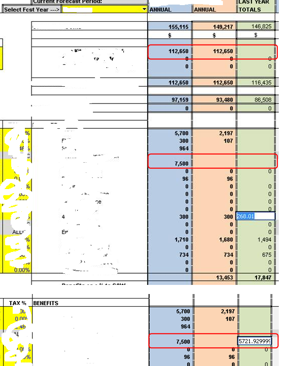 Websheet view from TM1Web 10.2.2, circled areas show non-rendered value when seen from web.