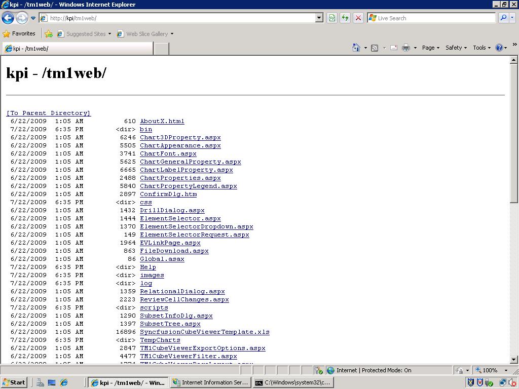 TM1 Web Error.jpg