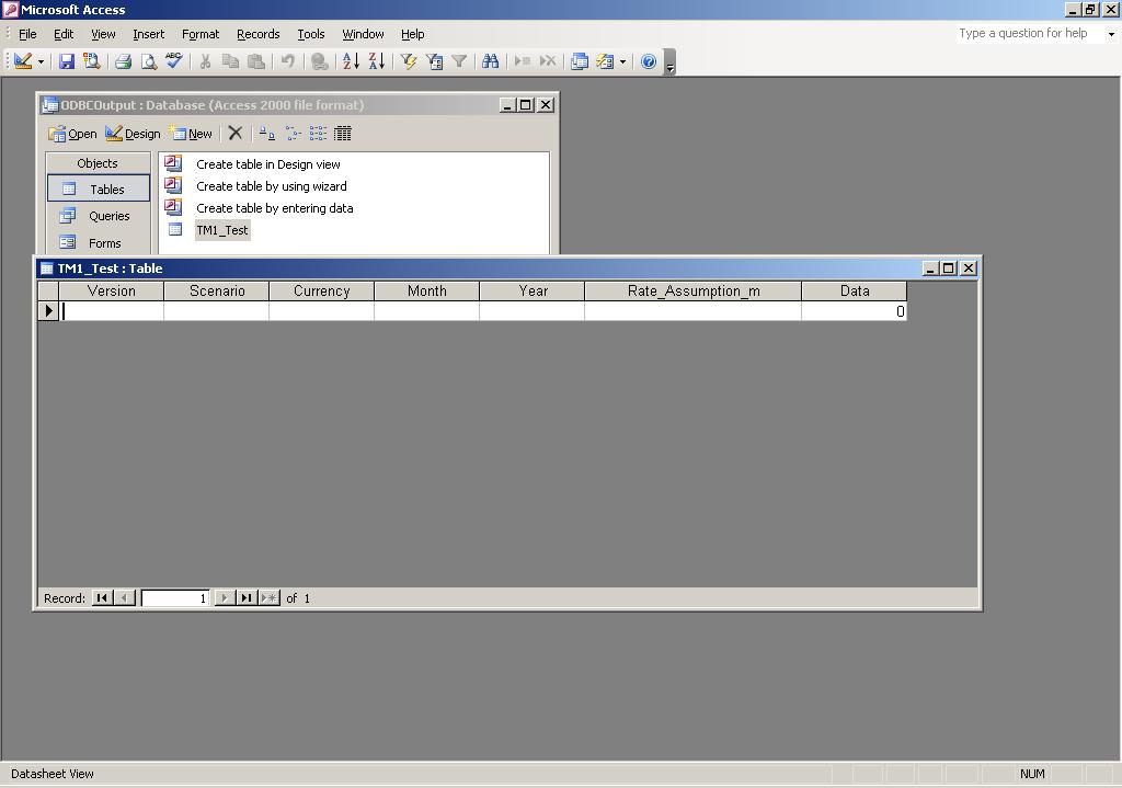 MS Access Table