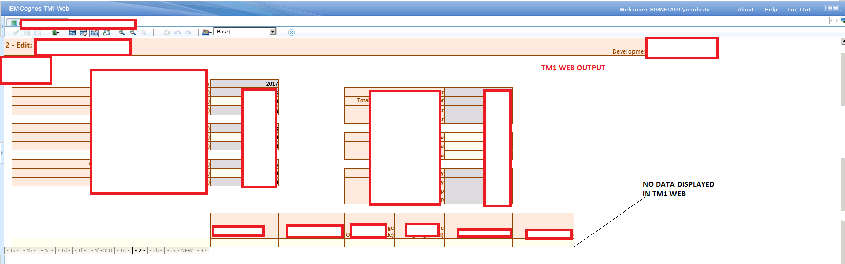 TM1 Web Output