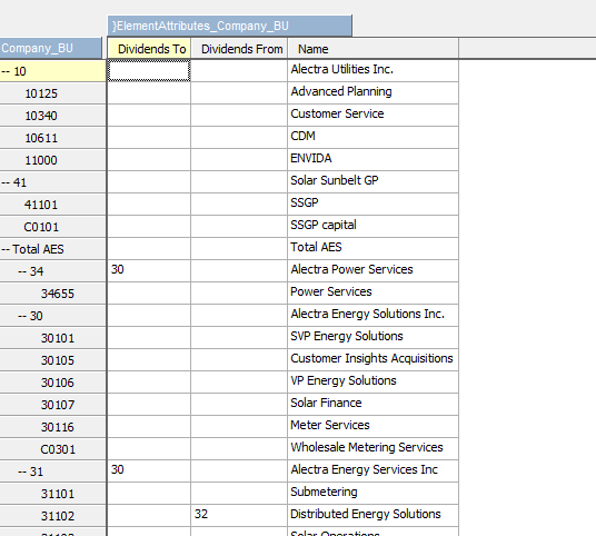 Company_BU attributes.PNG