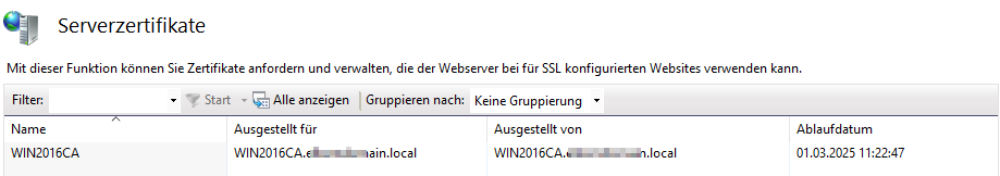IIS-server-cert.png
