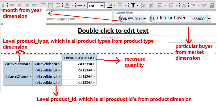 Cognos BI report definition created in Cognos BI Report Studio that executes report to get data from TM1 cube